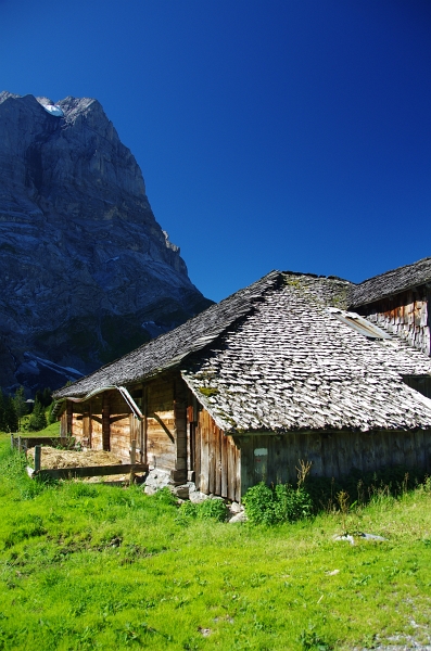 24h Hike Mammut_Ochsner 'Meiringen_Grosse Scheidegg 1962m' 18_08_2012 (107).JPG